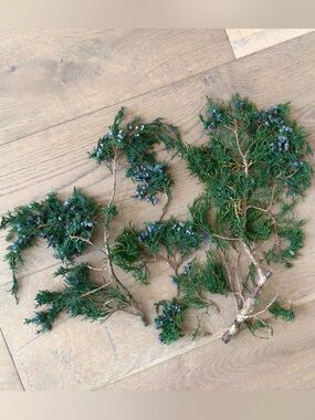 New set of branches natural Preserved Blueberry Juniper Scatter Terrain